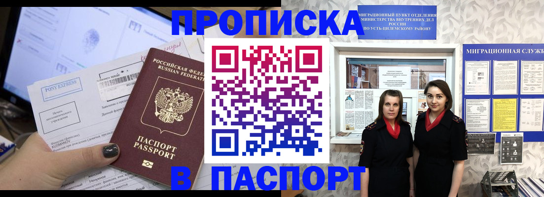 временная регистрация поиск в Щёлково